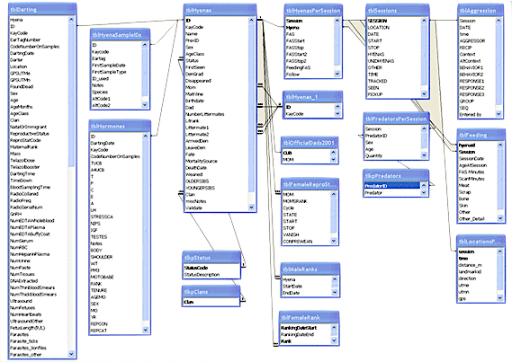 MSU Mara Hyena Project Database Entity Relationship Diagram